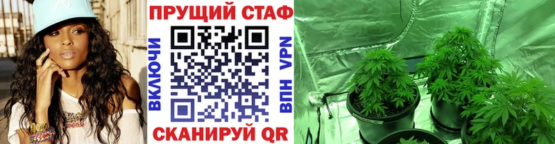 Где можно купить наркотики Губаха Псилоцибиновые грибы  АМФЕТАМИН  Меф  Alpha-PVP  Каннабис  COCAIN  ГАШ 