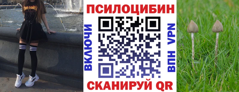 Псилоцибиновые грибы прущие грибы Губаха