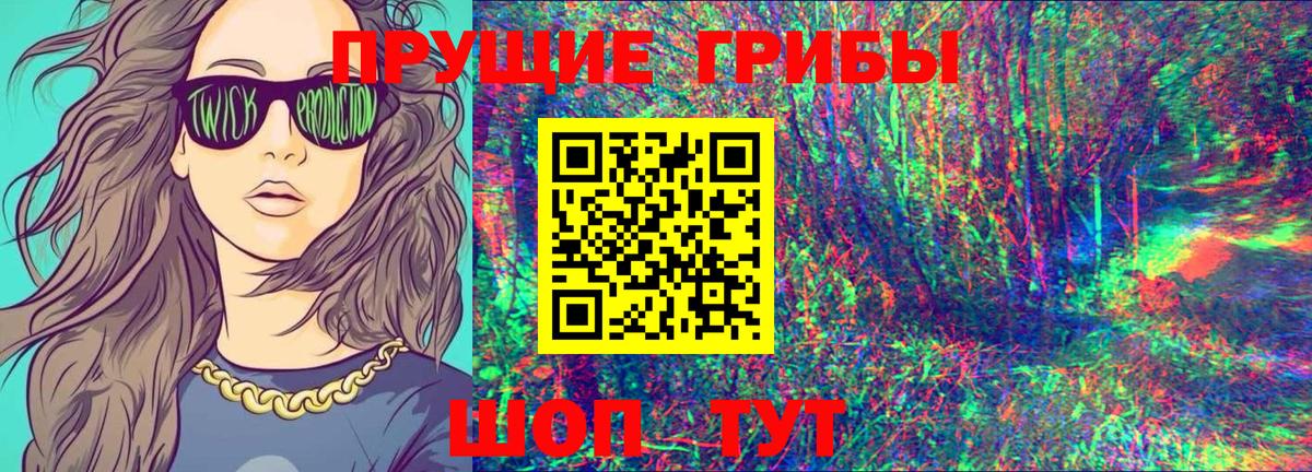 Псилоцибиновые грибы Psilocybine cubensis  Псилоцибиновые грибы прущие грибы  Вход с VPN  купить   Губаха 